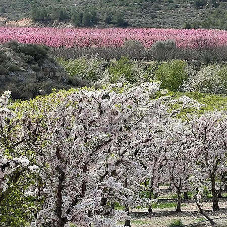 Sole Rural Vil·la *